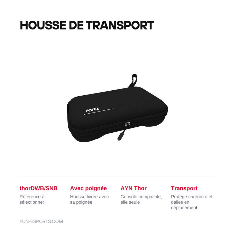 Housse de transport avec poignee pour AYN Thor, reference thorDWB/SNB