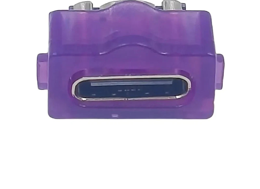 Module de port de charge USB-C pour Game Boy Advance SP — Transparent Purple