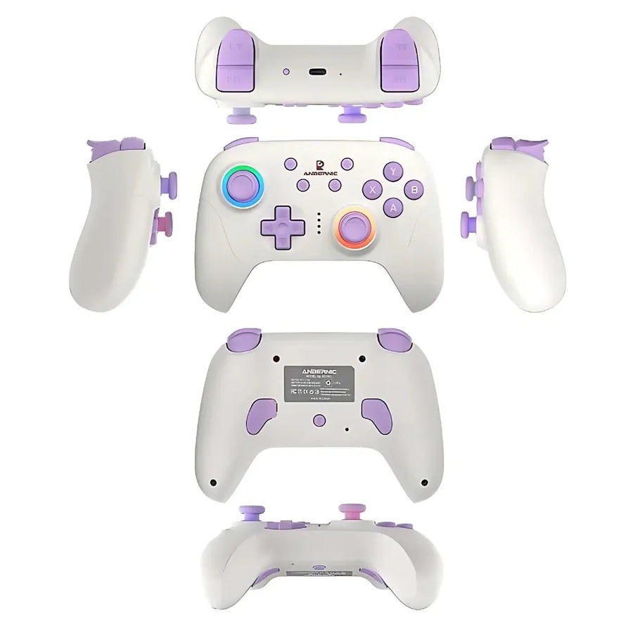 Design ergonomique et esthétique de la ANBERNIC RG P01 Blanc