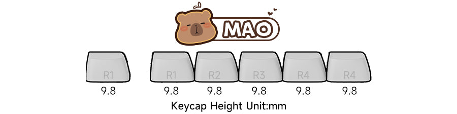 Set de keycaps PBT Akko, profils MOG/MOA/MAO, dye-sublimation 5 faces, tiges MX (visuel 28)