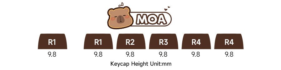 Set de keycaps PBT Akko, profils MOG/MOA/MAO, dye-sublimation 5 faces, tiges MX (visuel 35)