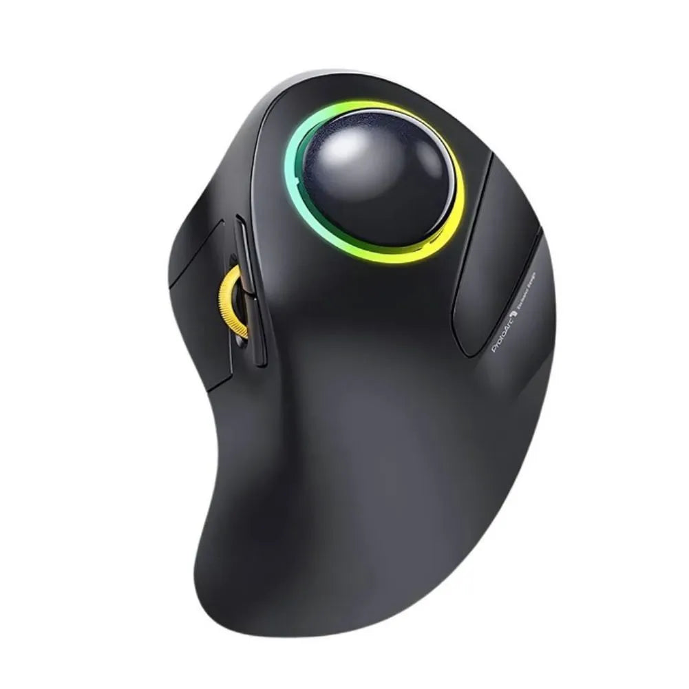 Souris Ergonomique Noir EM03