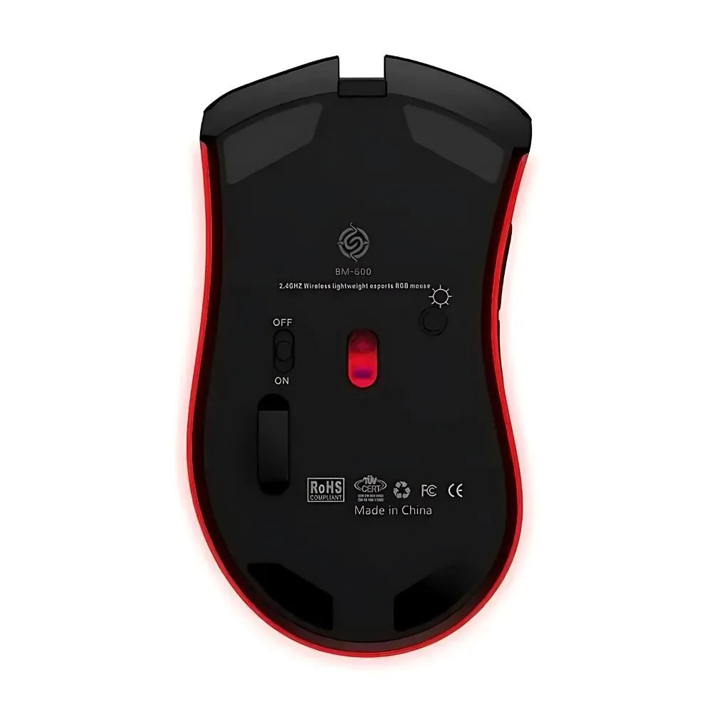 Souris Gamer RGB Noir Bouton