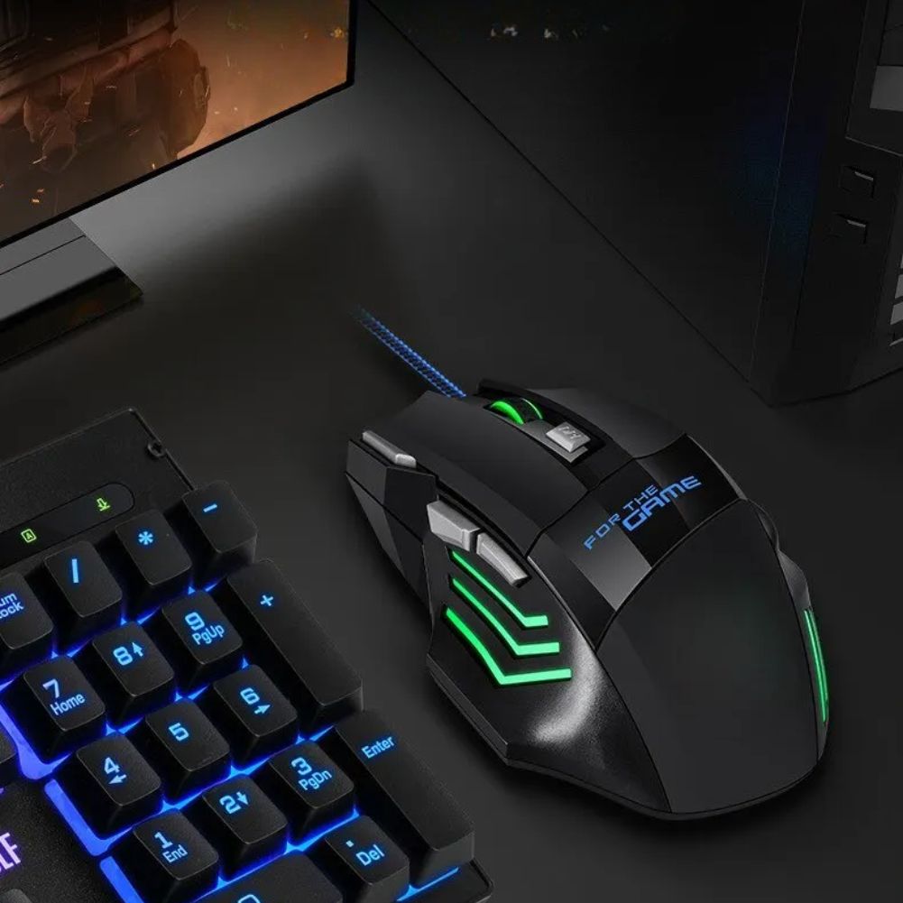 Souris Gaming RGB Noir ITLY