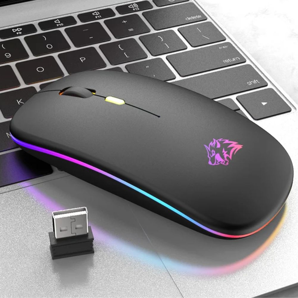 Souris RGB Ergonomique Sans-fil