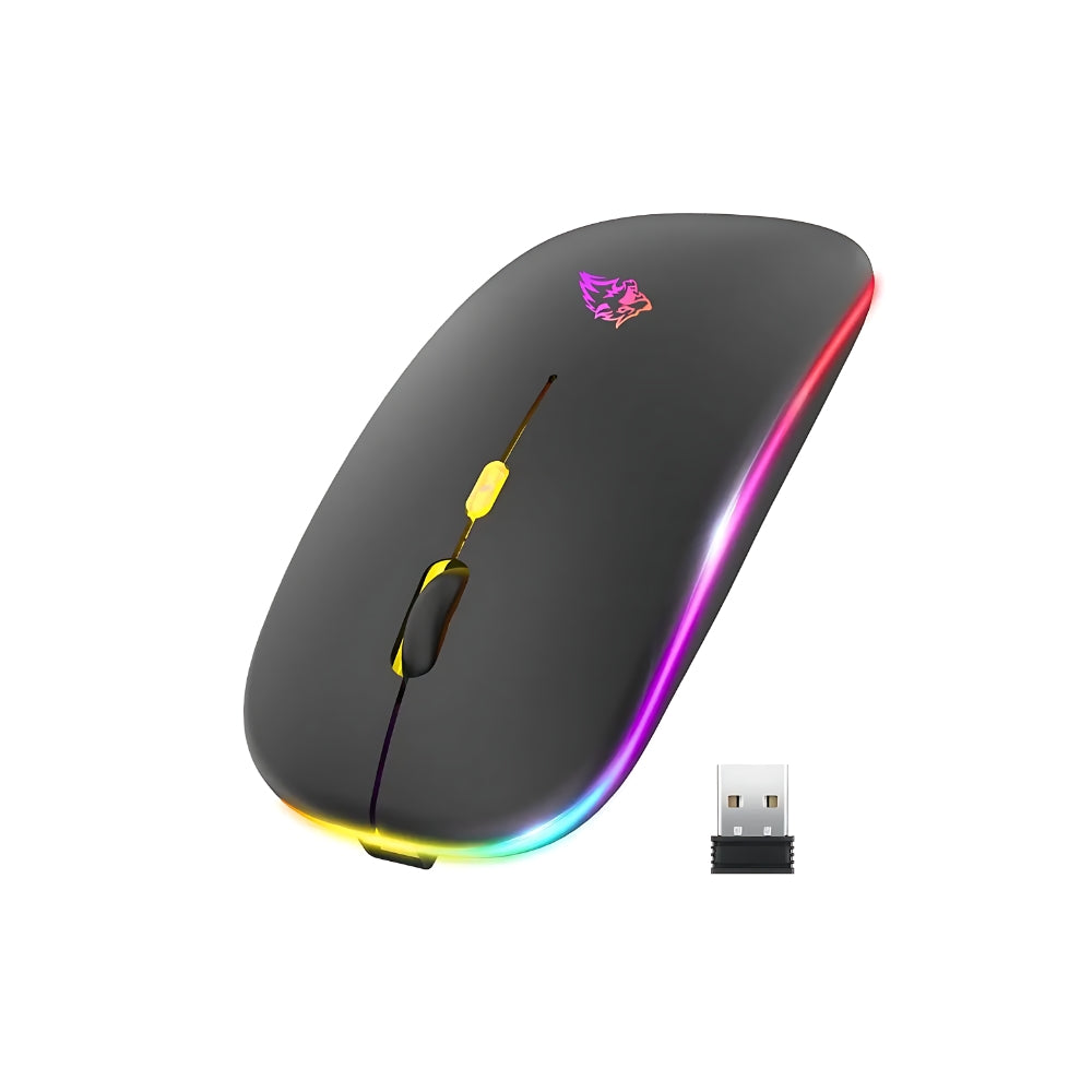 Souris RGB Ergonomique Sans-fil Noir