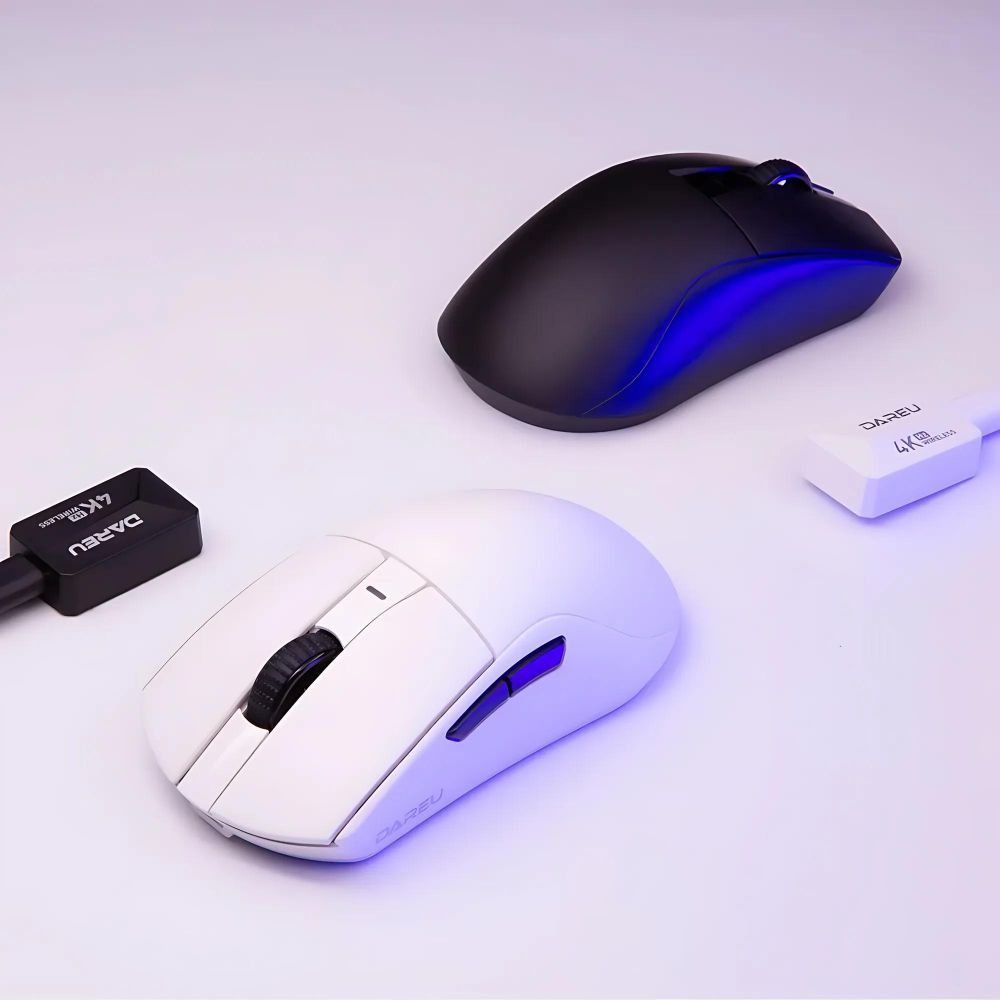 Souris gamer dareu avec les deux souris noir et blanc