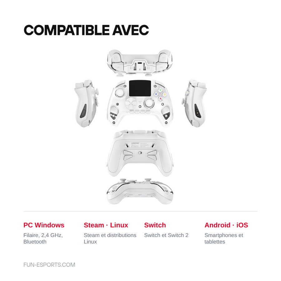 Compatibilité de la manette Anbernic RG G01 : PC Windows, Steam, Linux, Nintendo Switch, Android et iOS