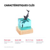Afficher le visuel 6